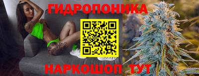 spice Прохладный