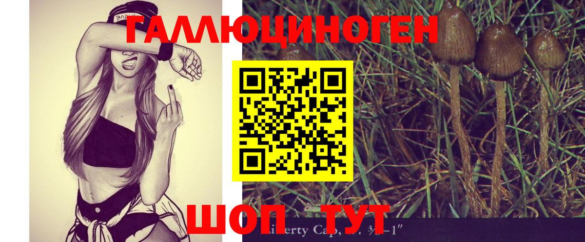 Галлюциногенные грибы мицелий Сафоново